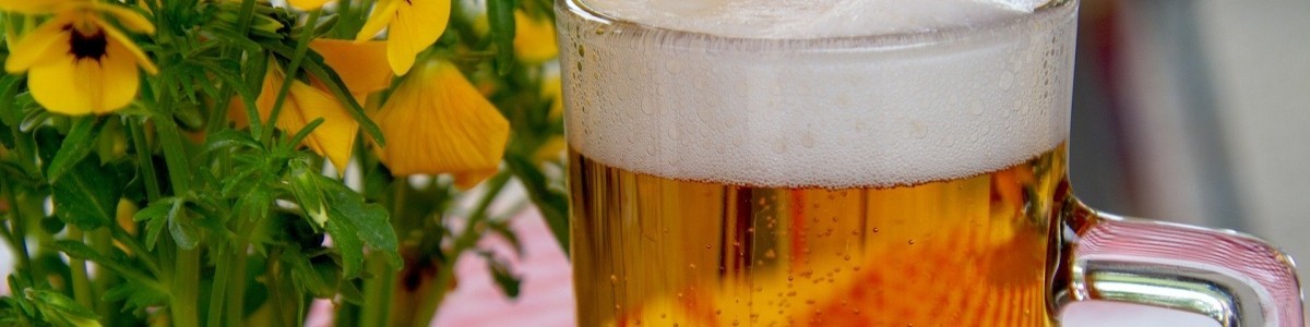 Markenbiergläser von Wacken Brauerei bequem und einfach online kaufen